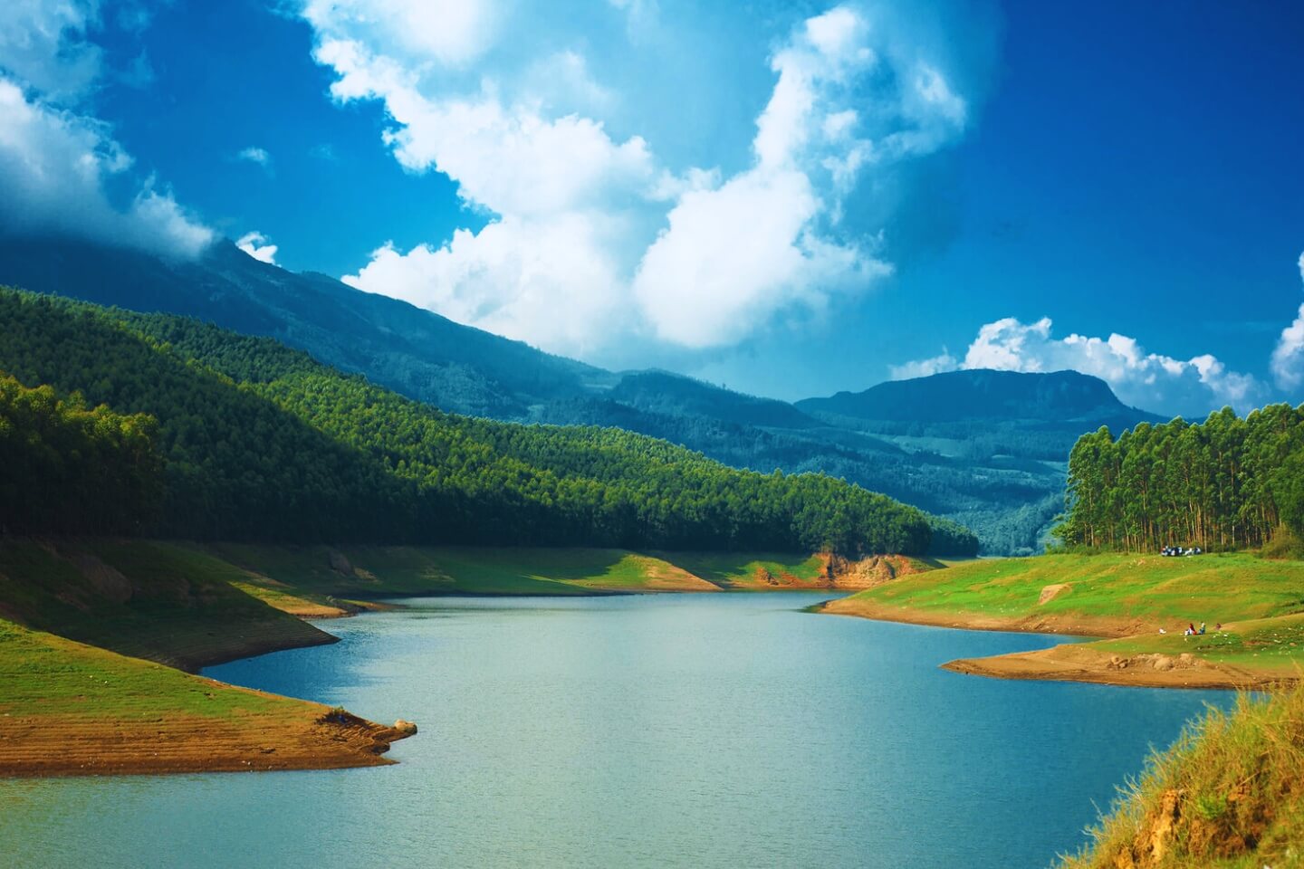 Munnar Sightseeing